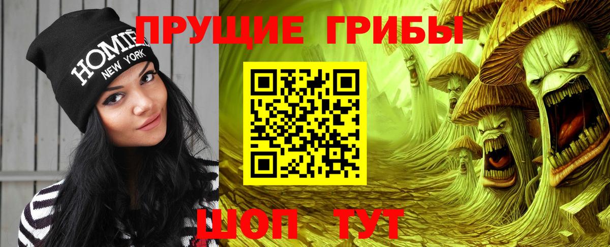 Галлюциногенные грибы Psilocybine cubensis Изобильный